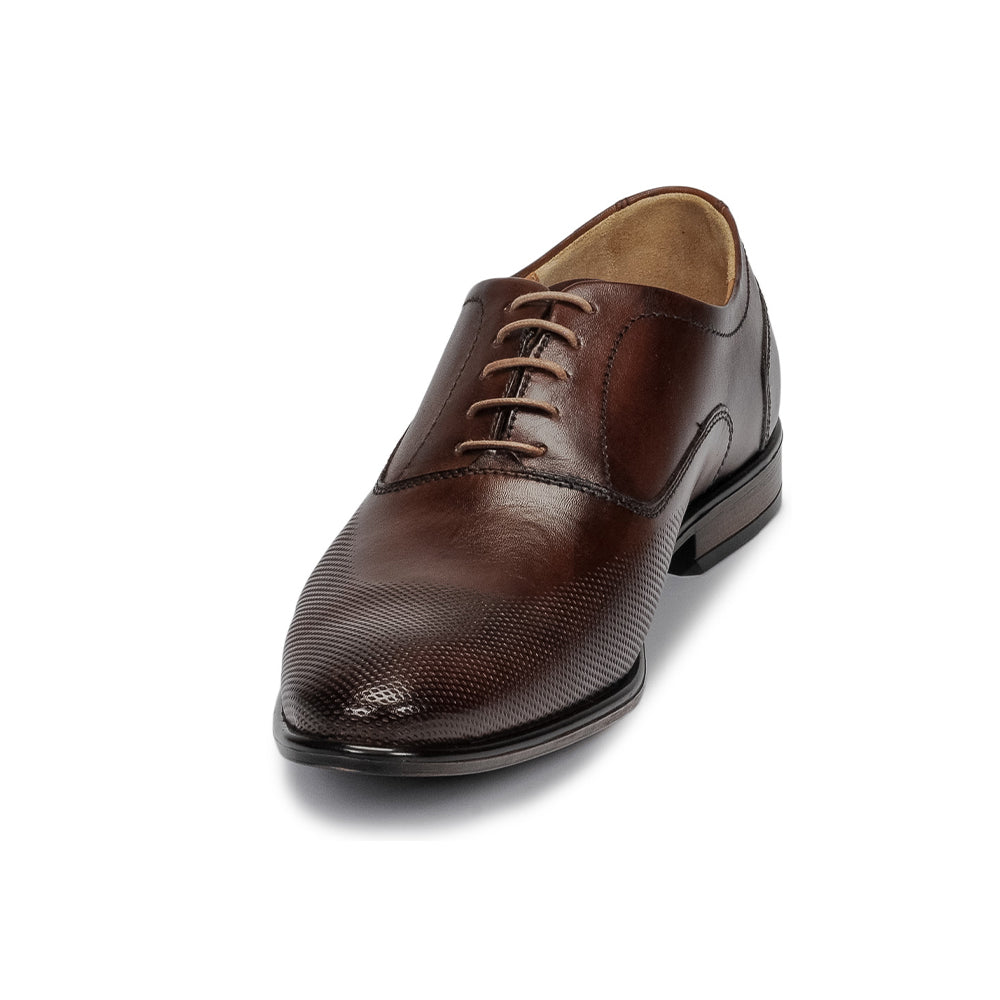Andre Chaussure Classique Homme Perford Marron