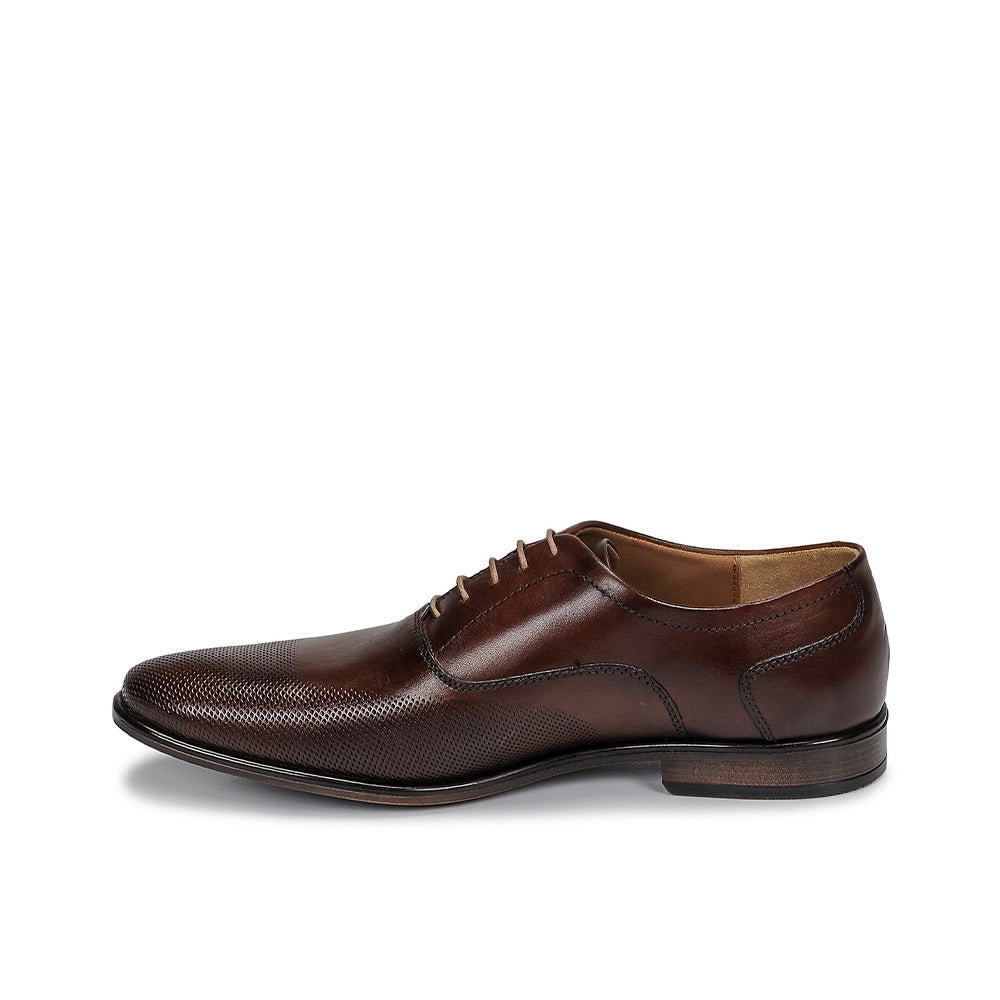 Andre Chaussure Classique Homme Perford Marron